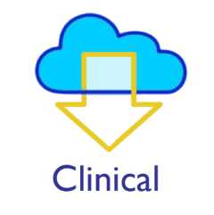 SALT 24 Software - Clinical License