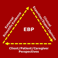 External scientific evidence; clinical experience and expert opinion; client patient, caregiver perspective.